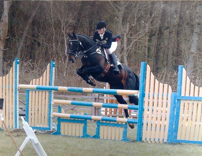 Advanced Show Jumping