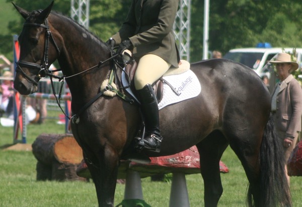 Burghley Young Event Horse Championships 11th Place