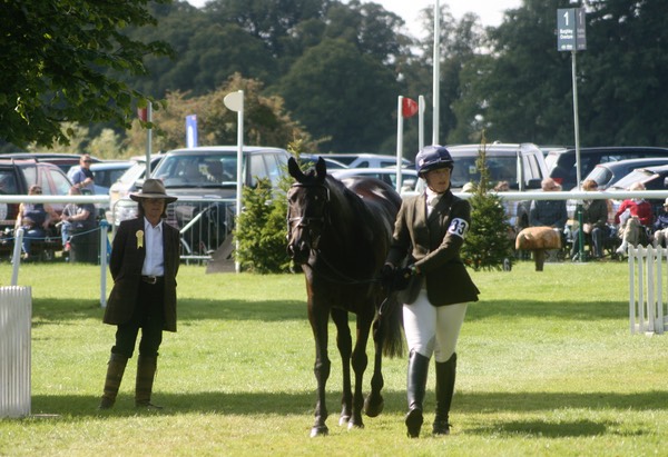 Burghley Young Event Horse Championships - Confirmation