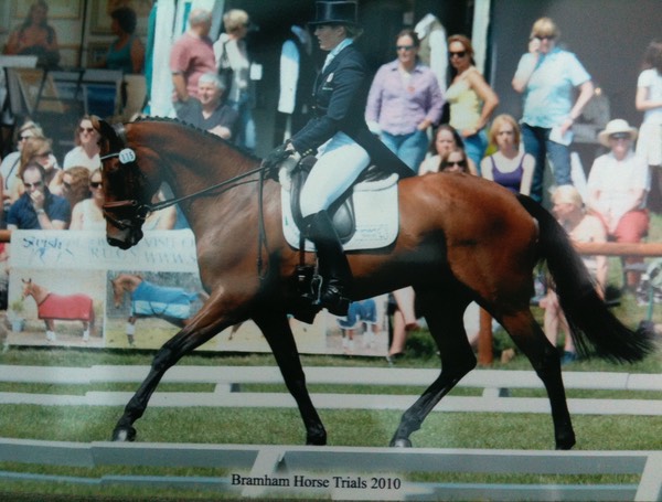 Dressage Bramham 2010