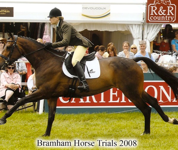 Bramham Young Event Horse, top ten- gallop 2008