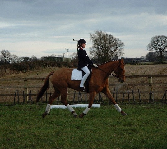 Ridden by Jolyse aged 11