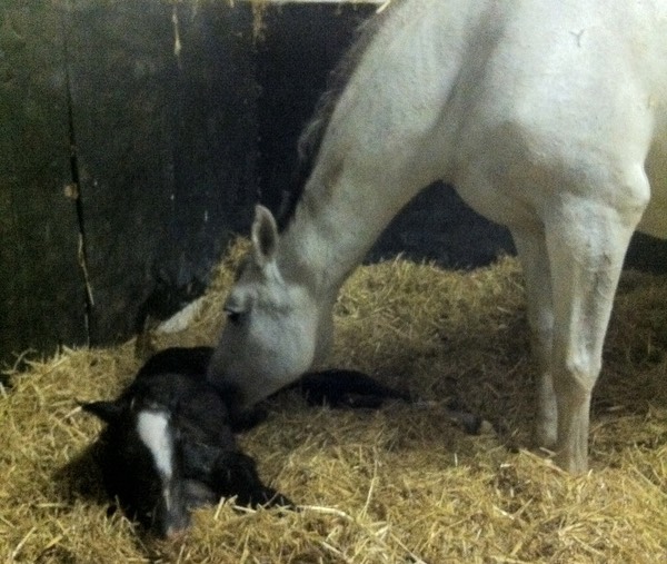 Just Born 13th May 2012