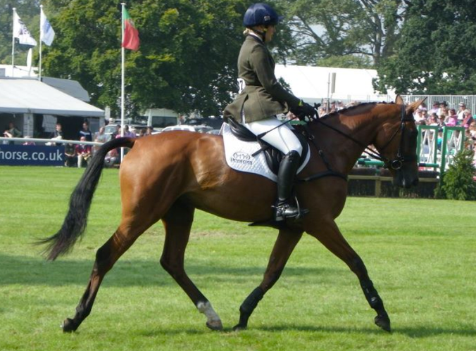 Dressage at Burghley 2011
