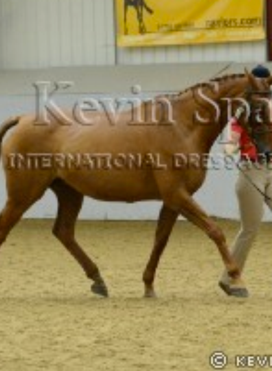 On Fire with On Call at BEF Futurity