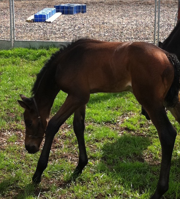 On a Winner 13th August 2012