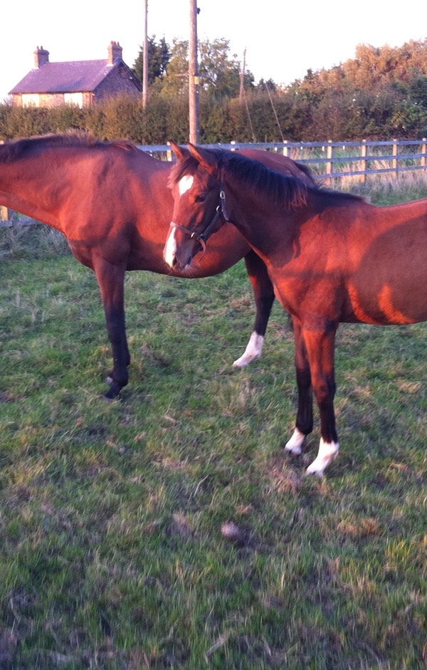 On Luxe with On High - 30th September 2011