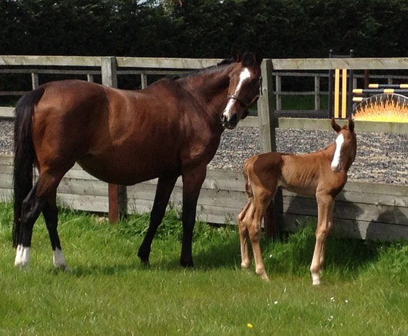 4 Days Old, with Mum On High aged 20