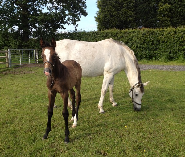 On n Up with Dam, On a Dream - 14th June 2012