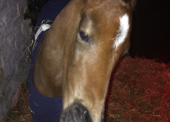Onesie with a bottle