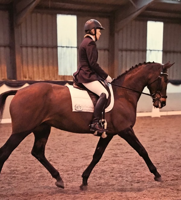 Winter Regionals 2017