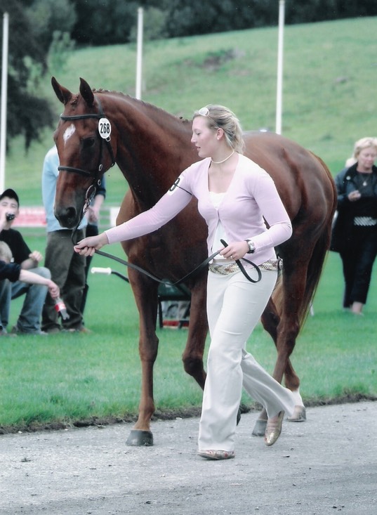 Necarne Castle Horse Inspection