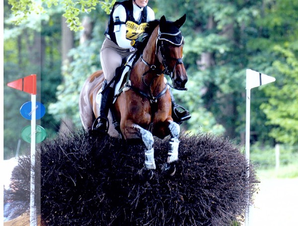 Bramham CIC 3* 2012