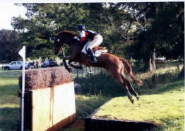 Weston Park CIC 2*